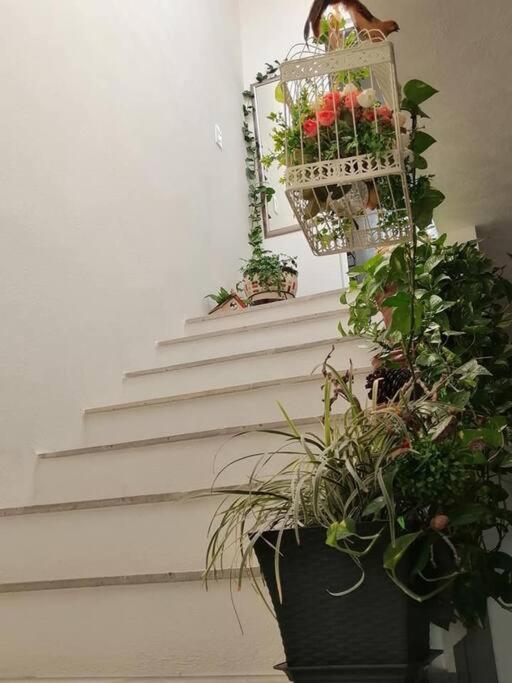 Casa Adhita, Tu Confort Es Nuestra Prioridad. ヤウテペック エクステリア 写真